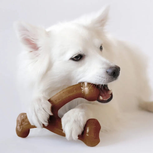 Durable Bone Dog Chew Toy for Aggressive Chewers Real Bacon Flavored Nylon Made in USA Medium Size Dog Dental Health