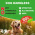 Dog Hip & Joint Chews Arthritis Pain Relief Glucosamine Chondroitin MSM & Turmeric