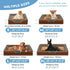 Best Orthopedic Dog Beds for Small Dogs