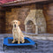 Elevated Dog Cot Bed
