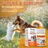 PetriTailor Turmeric Curcumin Dog Supplement Hip & Joint Support 60 Tablets