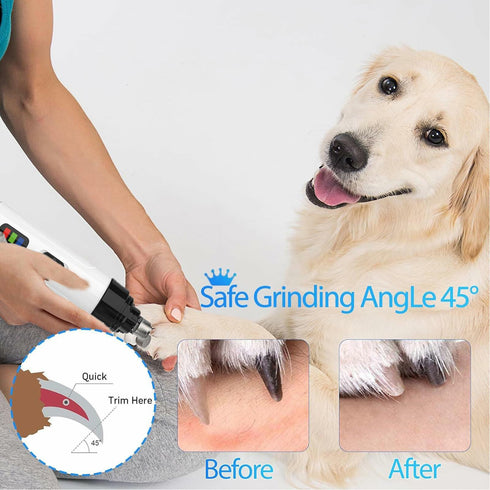 Generic Nail Grinder for Dogs Rechargeable USB LED Light 3 Speeds 1+2 Heads