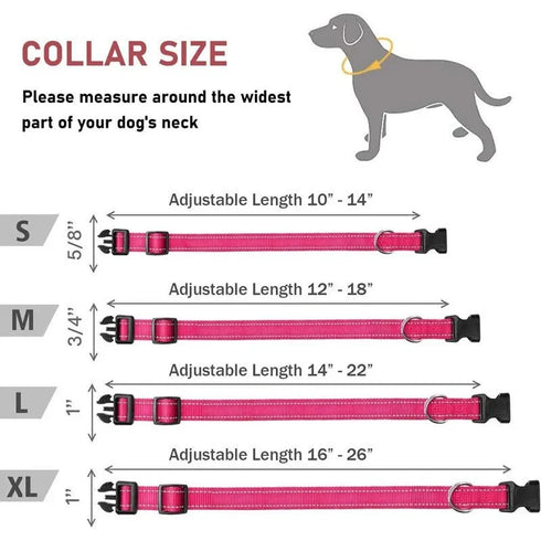 Reflective Nylon Dog Collar | Adjustable Safety Strap for Small and Medium Dogs