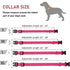 Reflective Nylon Dog Collar | Adjustable Safety Strap for Small and Medium Dogs